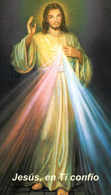 *SPANISH* Divine Mercy Chaplet Prayer Card(FOR THOSE UNABLE TO ATTEND MASS)***ONEFREECARDFOREVERYCAR